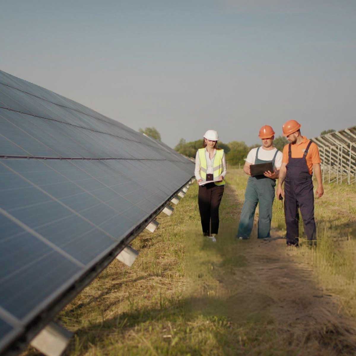 Stakeholder-Engagement-&-Negotiations